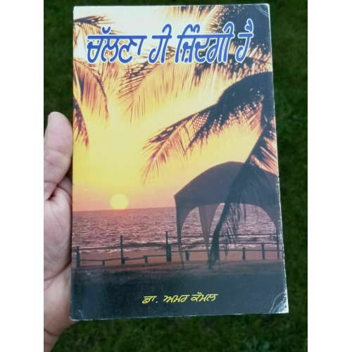 Chalna hi zindgi hai by dr. amar komal punjabi motivation essays literature book