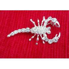 Talisman protection silver plated scorpion brooch star sign cake pin birth sign